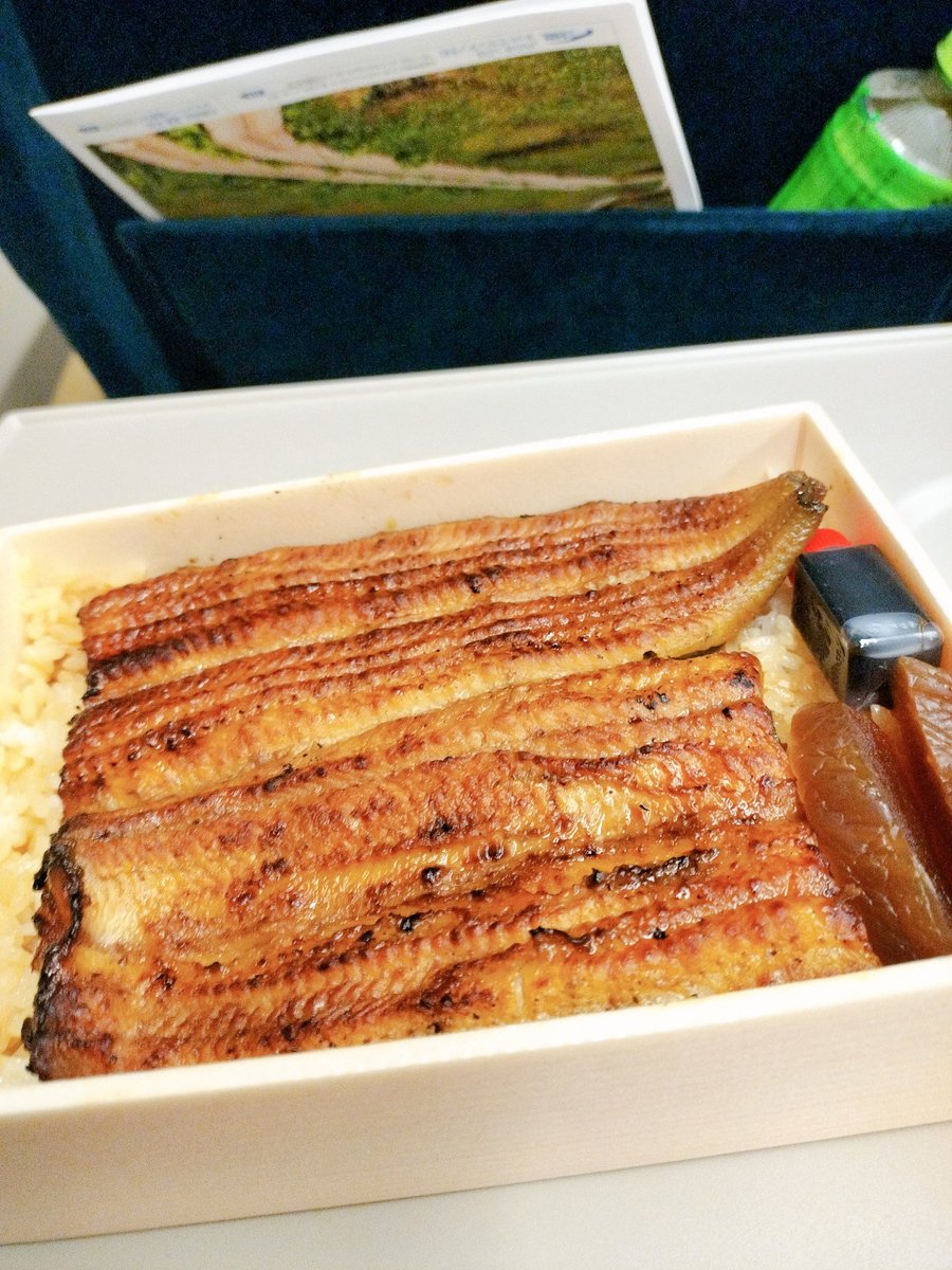 kuroketchup's tweet image. 飛行機予約し忘れてたので新幹線移動。せっかく上野に寄ったので、伊豆栄のお弁当で丑の日。
明日はニョロニョロ長ーく伸びますように🙏