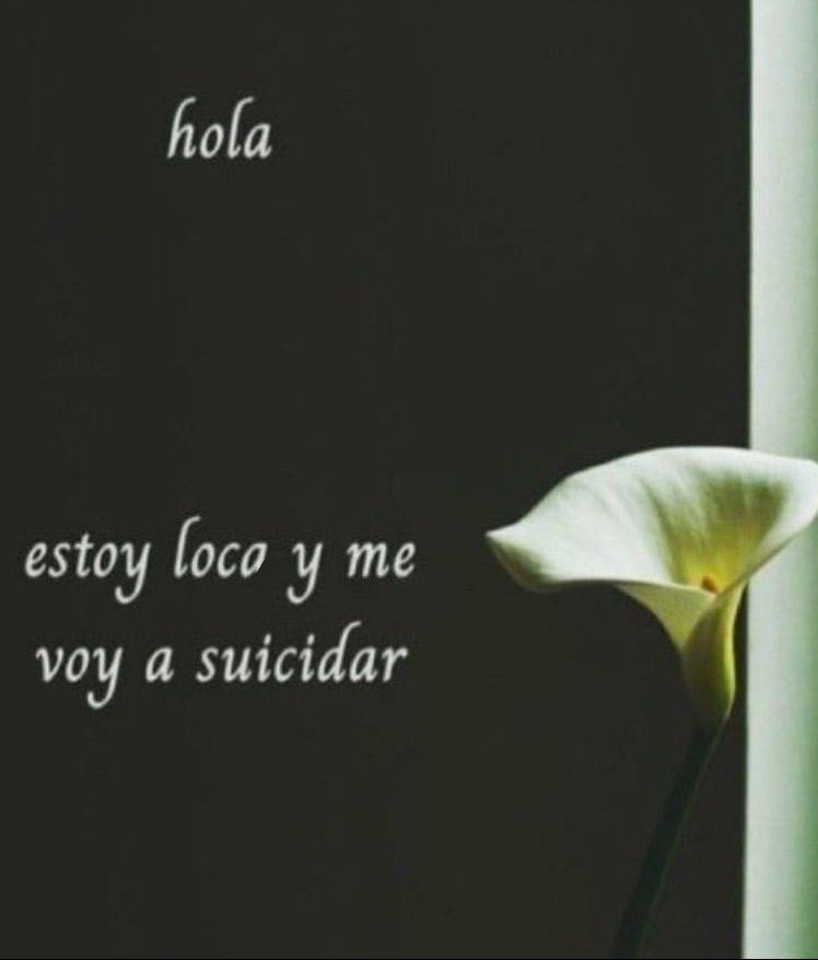 iker (@ikerkeri1) on Twitter photo 