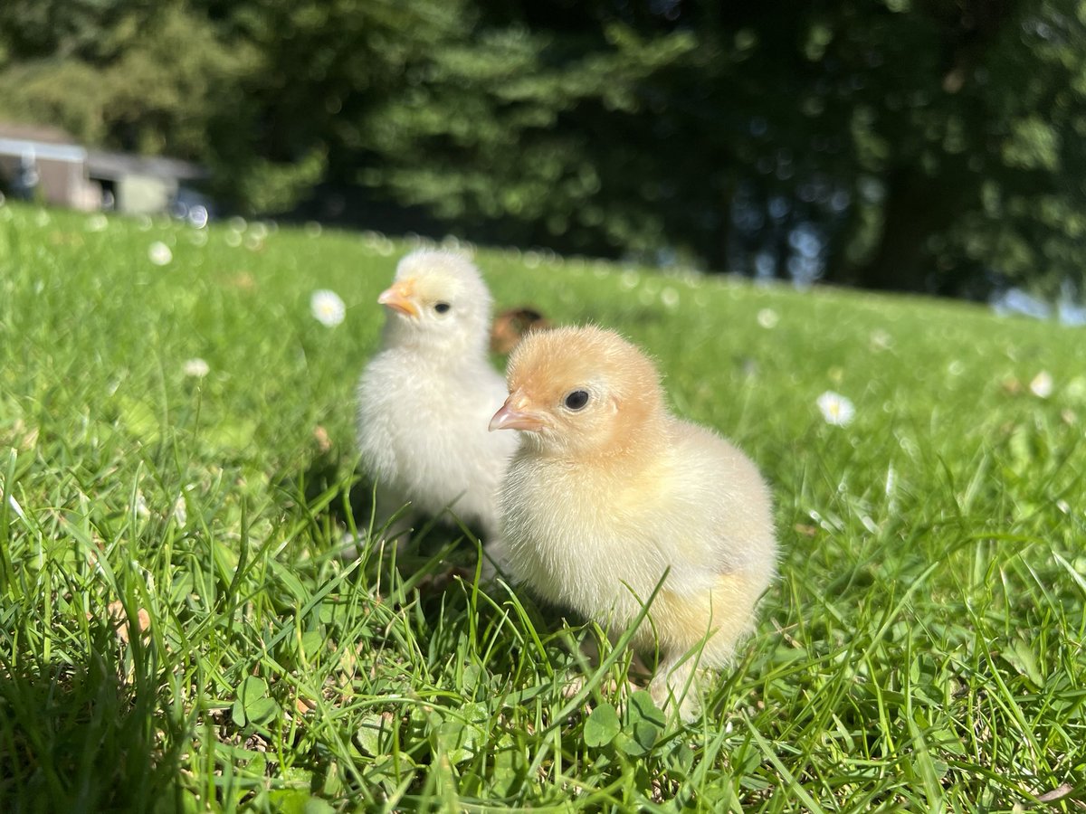 It’s a good day to get out on the farm.
