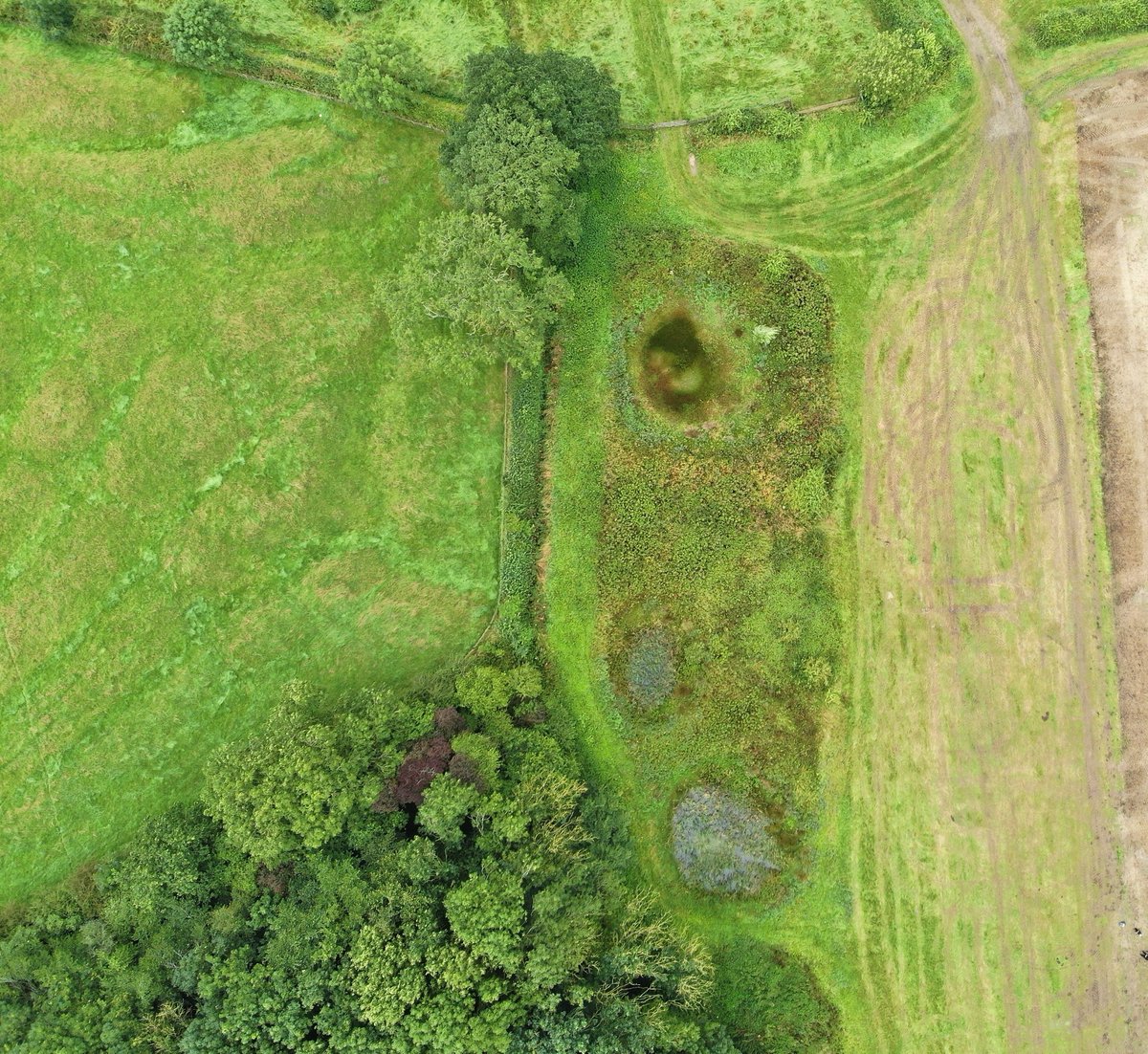 Our CEO <a href="/jeremybiggs/">Jeremy Biggs_FHT</a> gave an update on #WaterFriendlyFarming to the  Anglian (Northern) Regional Flood and Coastal Committee. 
Water Friendly Farming is the UK’s longest and most detailed catchment-scale agri-environment research demonstration project. 
👉waterfriendlyfarming.org.uk/.../regional-f…