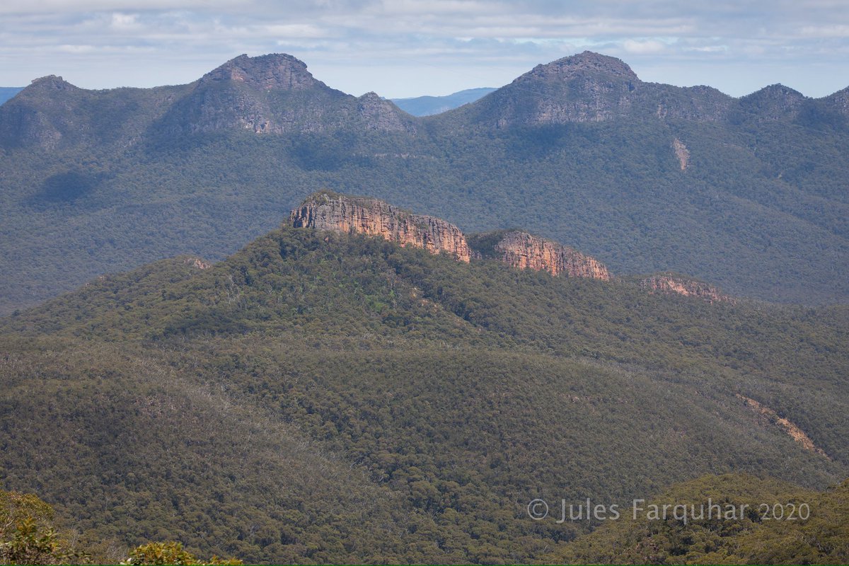 Jules Farquhar tweet media