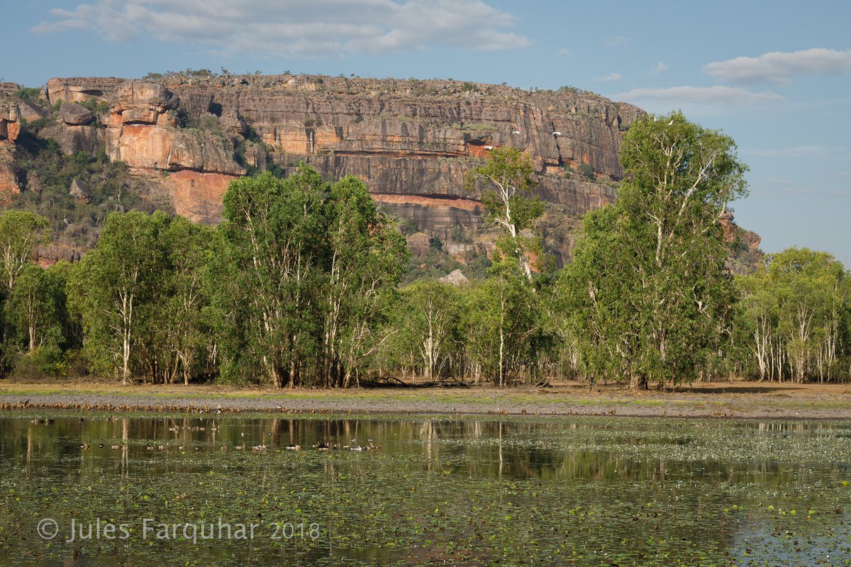 Jules Farquhar tweet media