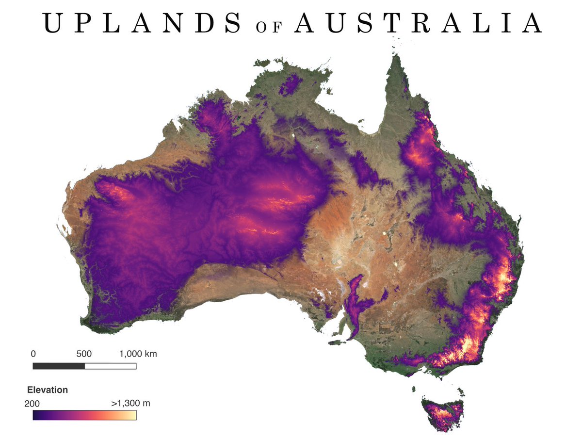 Jules Farquhar tweet media