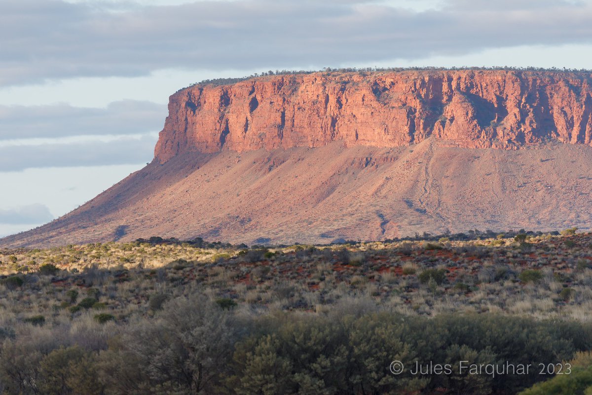 Jules Farquhar tweet media