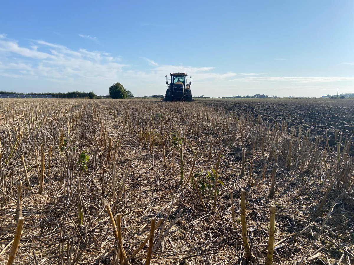 Saying goodbye to the last 12 months! 🌊 🌧️ ☔️