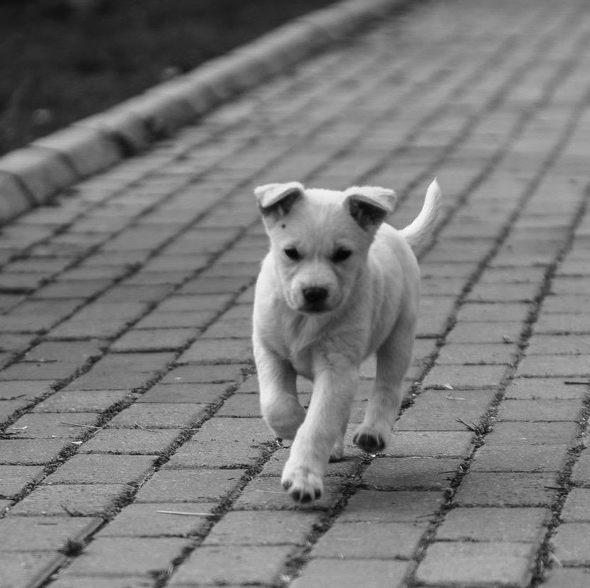 Yaşamın ve yaşam dürtüsünün yanındayız. 
Sokağın da hayatımızın ve canlılığımızın devamı olduğunu, yaşam dürtümüzle hep beraber bu canlılığı korumamızın mümkün olduğunu biliyor, #yaşamhaktır diyoruz.