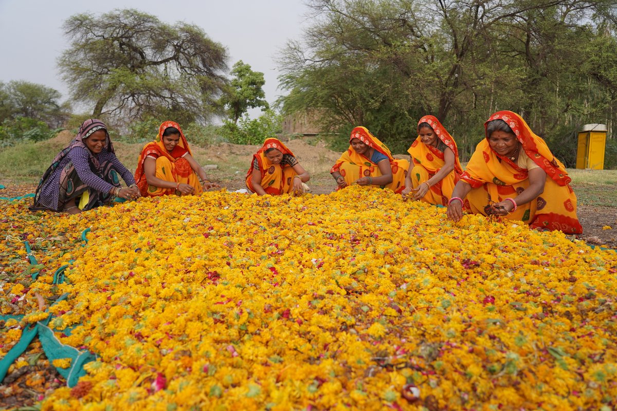 Being a religious city,<a href="/UjjainSmartCity/">Ujjain Smart City</a>'s mission has been to create a circular economy in the floral industry where all floral waste collected from religious places is upcycled into usable products while creating jobs. 
#SmartCitykiSmartKahaani #religious #wastemanagement
