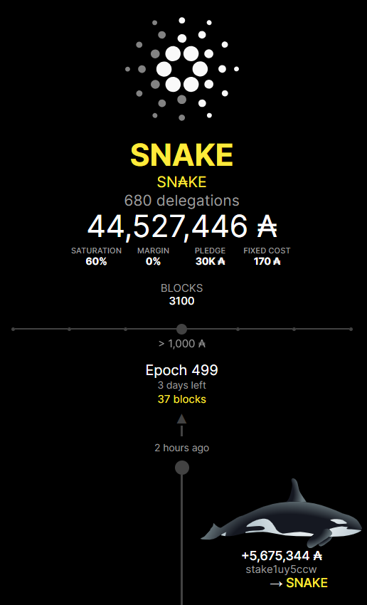 SN₳KE Pool - Ticker SNAKE tweet media