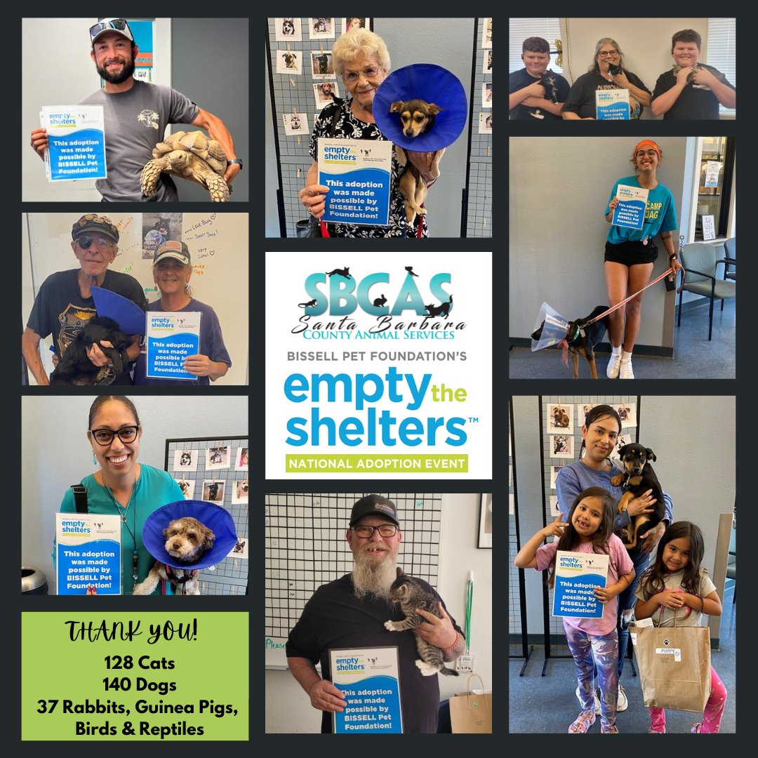 SBC Animal Services tweet media