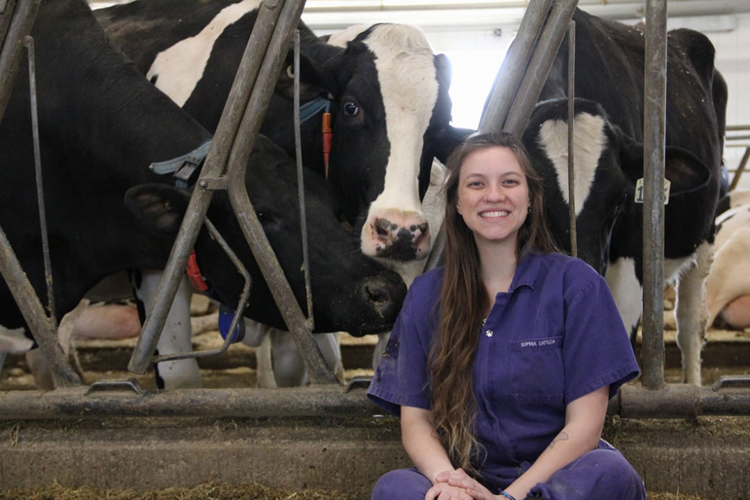 Congrats to #USask grad student Sophia Dondé who placed 3rd in the 2024 Canadian Society of Animal Science PhD oral presentation!

“The effects of pellet starch concentration and allocation amount for Holstein cows at peak, mid and late lactation in an automatic milking system”