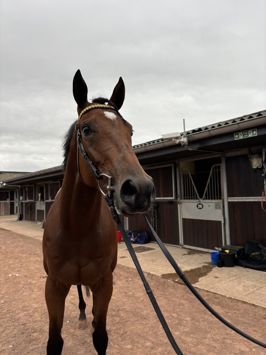 Julie Camacho Racing (@jcamachoracing) on Twitter photo ๐ฅ๐ฅ DOUBLE ๐ฅ๐ฅ
Infinity Blue & <a href="/RyanSexton9/">Ryan Sexton</a> were our first winner of the day at <a href="/NewmarketRace/">Newmarket Racecourse</a> for W Frewen. Closely followed by Cover Point & <a href="/CallumRodrigue4/">Callum Rodriguez</a> for <a href="/_brontecollect/">Bronte Collection</a> at <a href="/MusselburghRace/">Musselburgh Racecourse</a>. Two best turned outs for the team, too. Well done all ๐๐ผ ๐ฅ๐ฅ DOUBLE ๐ฅ๐ฅ
Infinity Blue & <a href="/RyanSexton9/">Ryan Sexton</a> were our first winner of the day at <a href="/NewmarketRace/">Newmarket Racecourse</a> for W Frewen. Closely followed by Cover Point & <a href="/CallumRodrigue4/">Callum Rodriguez</a> for <a href="/_brontecollect/">Bronte Collection</a> at <a href="/MusselburghRace/">Musselburgh Racecourse</a>. Two best turned outs for the team, too. Well done all ๐๐ผ