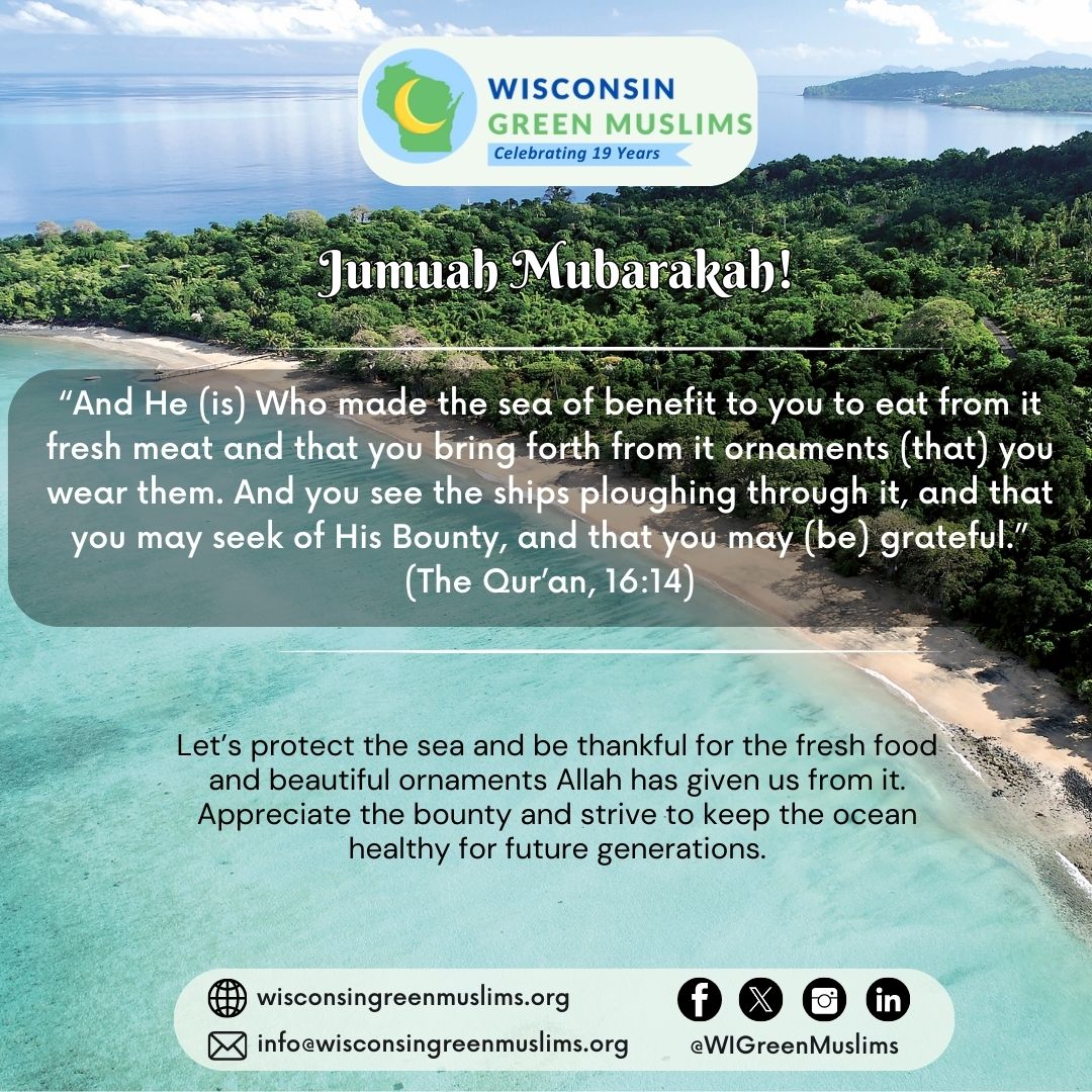 #JumuahMubarakah! Blessed Friday!  
Read The Qur’an, 16:14 
#Jumuah #Quran #Islam #Faith #WisconsinGreenMuslims #WIGreenMuslims #wisconsin #Earth #Ocean #Sealife #Water #Sea #WaterIsLife #Enviroment #Grateful