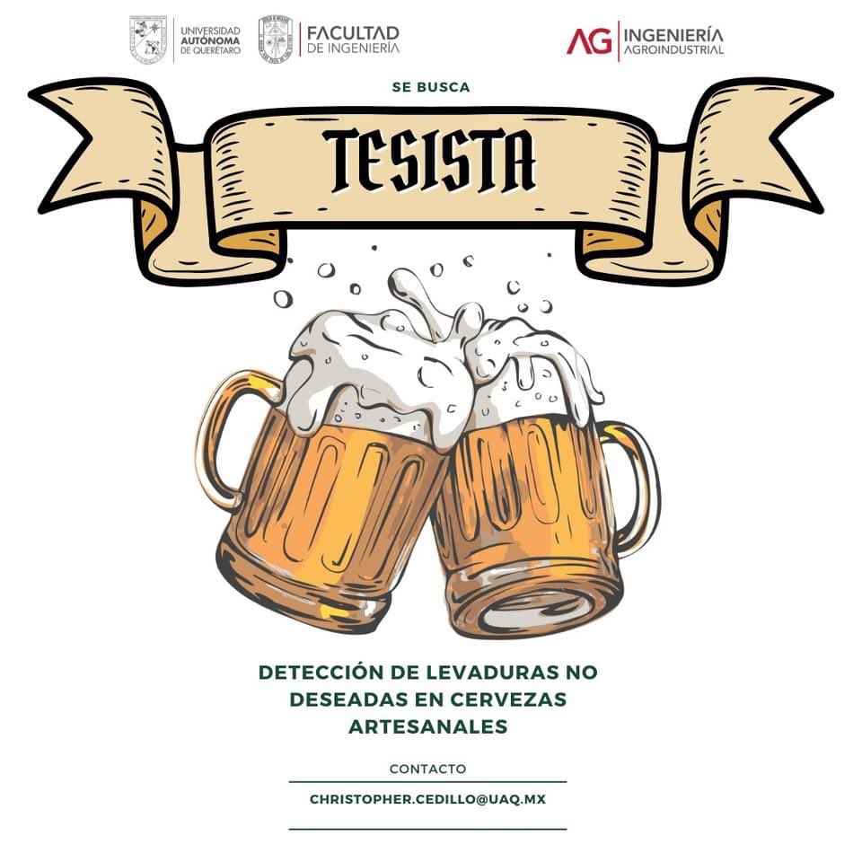 chrisantics's tweet image. Se busca tesista para desarrollar proyecto con levaduras no deseadas en cerveza artesanal, en Querétaro. Si sabes de alguien, envíale este post. 
.
‼️Se otorgaría apoyo económico ‼️
.
.
#uaq #tesis #cerveza #levadura