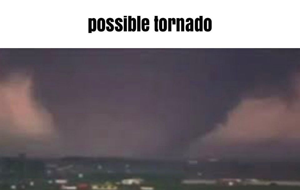 Chaser Chat tweet media