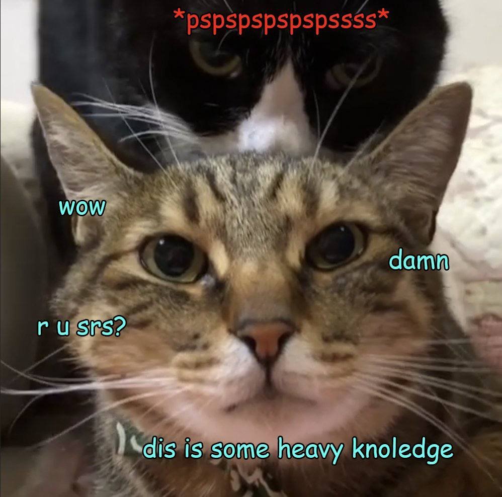 onichansol's tweet image. *pspspspssss* me $oni behind ginnan 🤫