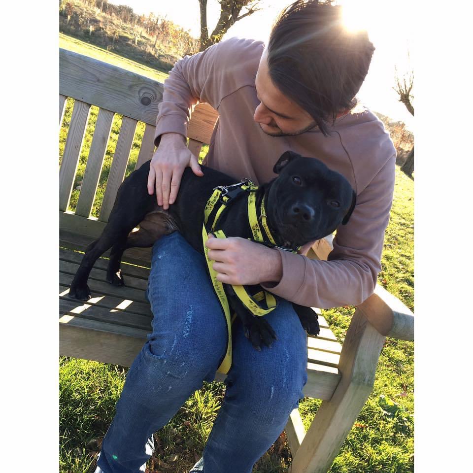 deanbartrip's tweet image. Love this kid! 🐶❤️👌🏻 #Staffy @DT_Essex