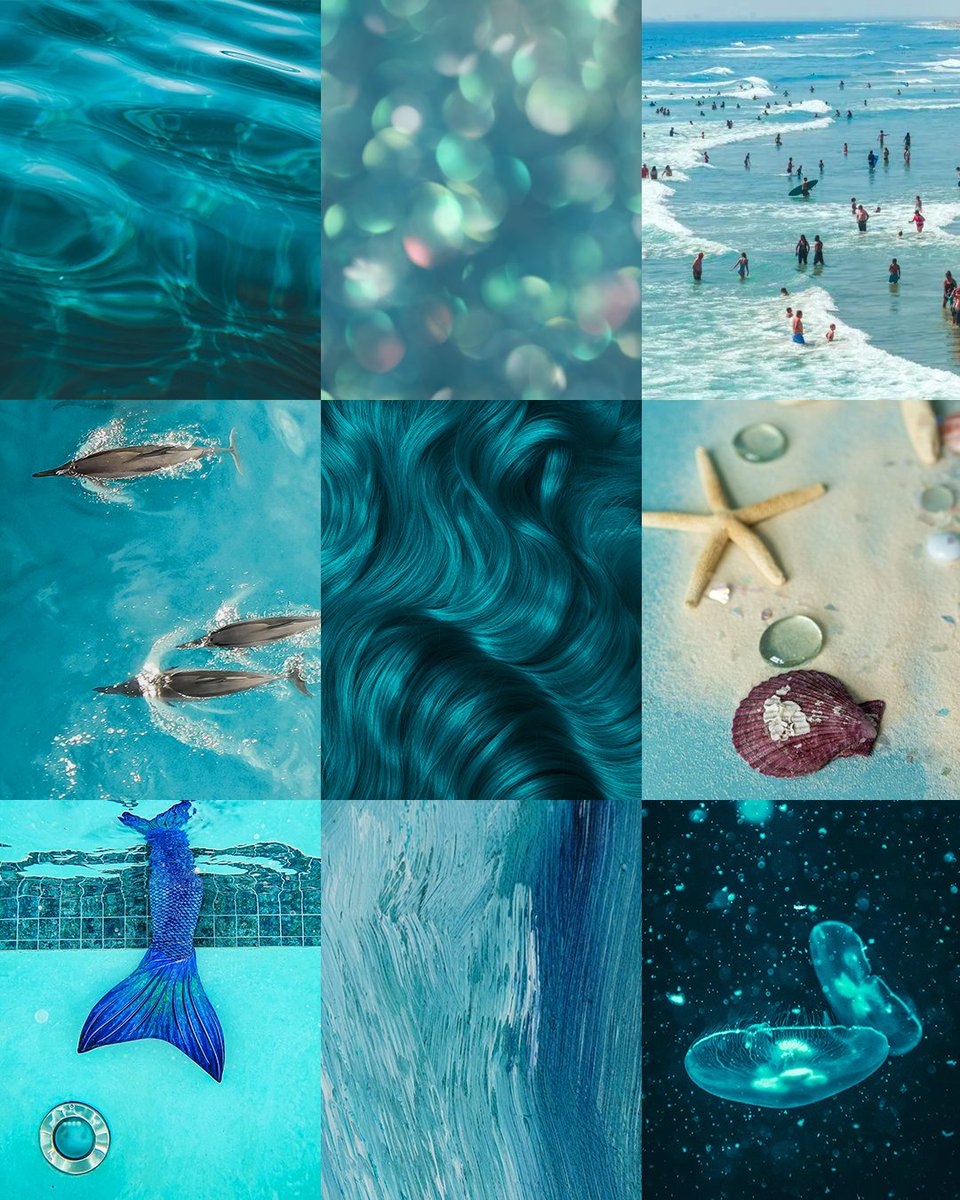 arcticfoxcolor's tweet photo. You can only choose one! ๐ ๐โโ๏ธ What'll it be, Fox?
#AFpurpleaf #AFgingerflare #AFaquamarine #AFritual https://t.co/yEHYMMPcmt
