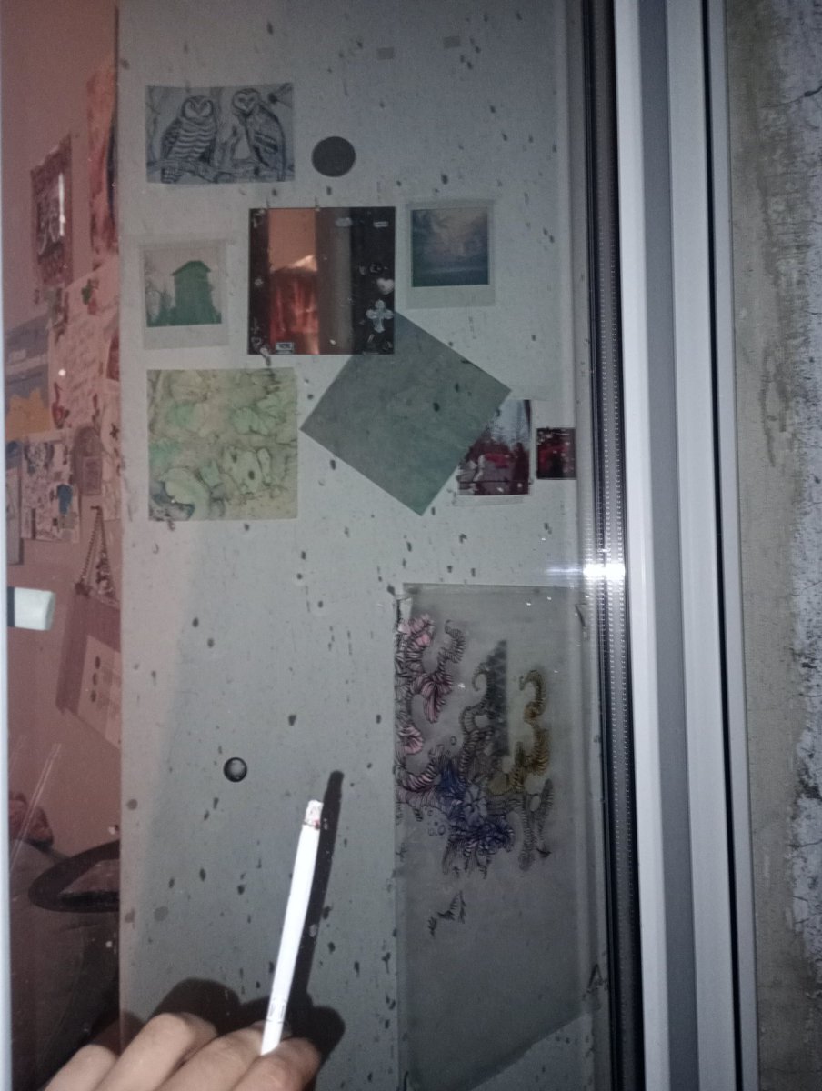 Toreeee (@highoncatshit) on Twitter photo 