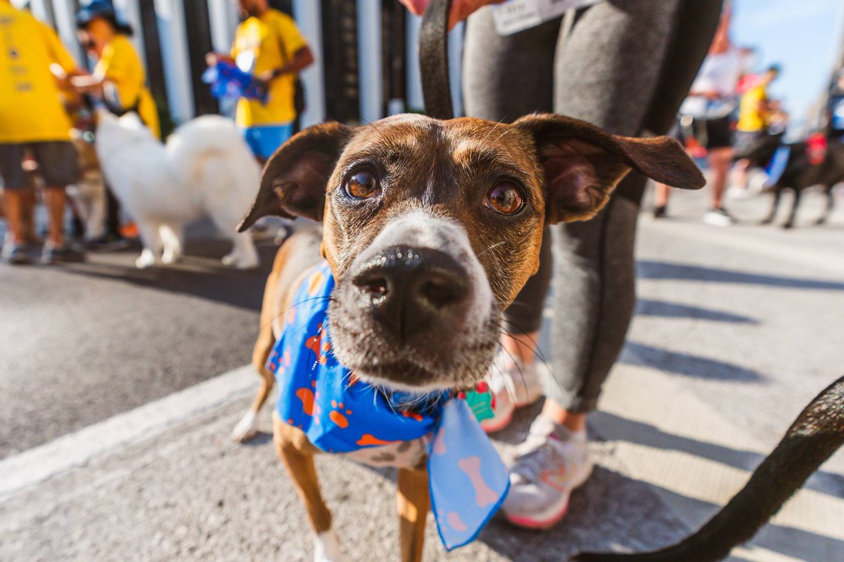 Always Advancing tweet media