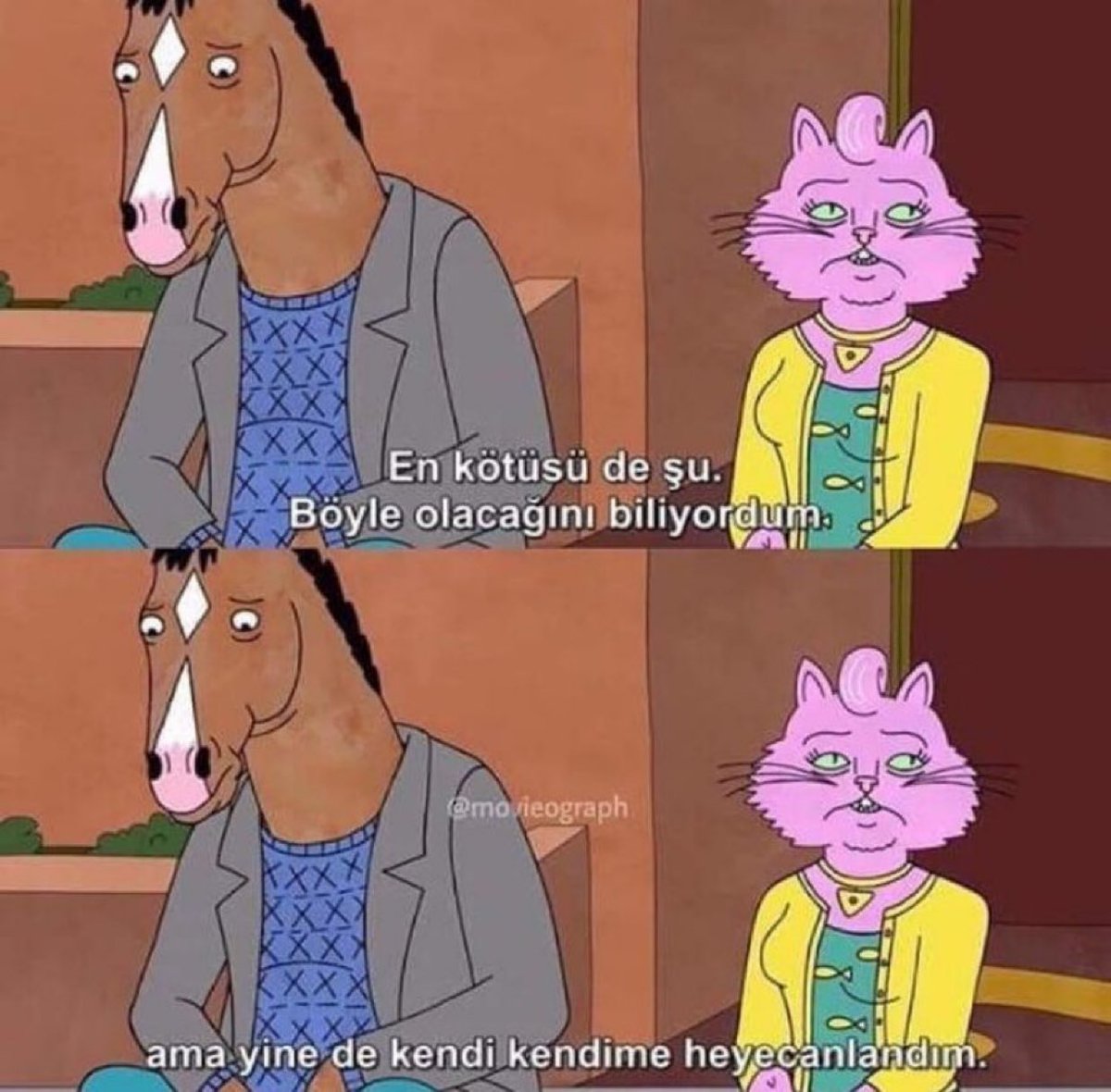 CryptoWolfManTR's tweet photo. “En kötüsü de şu: Böyle olacağını biliyordum. Ama yine de kendi kendime heyecanlandım.” 

(BoJack Horseman) https://t.co/IVji3pHlOc