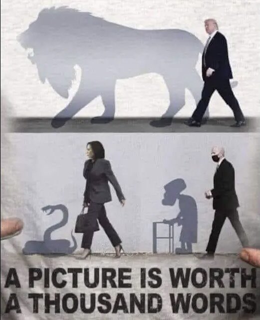 777denny_'s tweet photo. @charliekirk11 Some things you just can’t #unsee https://t.co/66U0LMOz3j