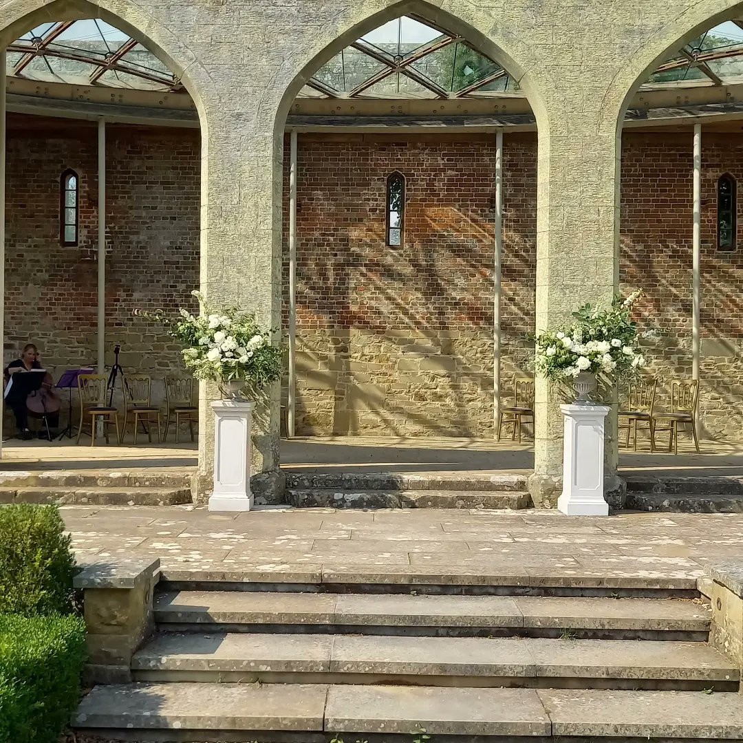 David Hodgson tweet media