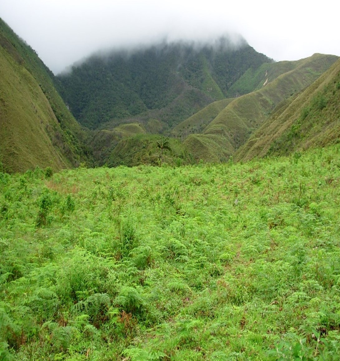 Sandra Velazco (@sandra_velazco9) on Twitter photo Check out our new paper! Northern Peruvian tropical forests that experienced forest loss > 30 years ago remain in an arrested state. We found regional climate and local factors have impacted the persistence of forest cover <a href="/TrevorCaughlin/">Trevor Caughlin</a>
sciencedirect.com/science/articl⦠Check out our new paper! Northern Peruvian tropical forests that experienced forest loss > 30 years ago remain in an arrested state. We found regional climate and local factors have impacted the persistence of forest cover <a href="/TrevorCaughlin/">Trevor Caughlin</a>
sciencedirect.com/science/articlβ¦