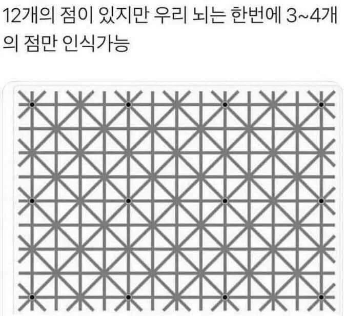 크아악!
