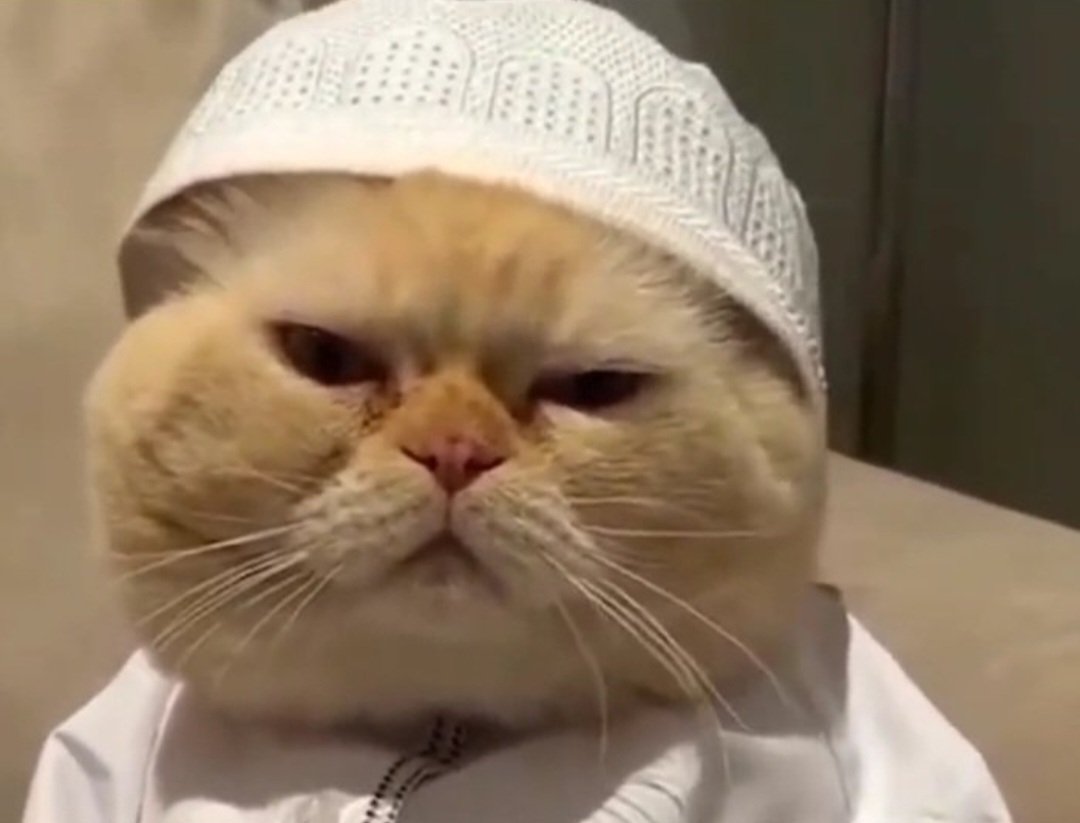 حمد المنيف tweet media