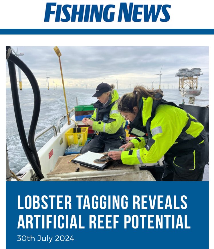 Bangor University - Sustainable Fisheries Research (@fisheriesbangor) on Twitter photo Great article in <a href="/YourFishingNews/">Fishing News</a> about lobster mark-release-recapture study led by @HarryThatcher10 <a href="/AberUni/">Aberystwyth University</a> and <a href="/BangorUni/">Bangor University</a> researchers in collaboration with welsh fishers. A great example of what collaborative working can achieve 💪🦞#sustainablefisheries #FISP #Defra Great article in <a href="/YourFishingNews/">Fishing News</a> about lobster mark-release-recapture study led by @HarryThatcher10 <a href="/AberUni/">Aberystwyth University</a> and <a href="/BangorUni/">Bangor University</a> researchers in collaboration with welsh fishers. A great example of what collaborative working can achieve 💪🦞#sustainablefisheries #FISP #Defra