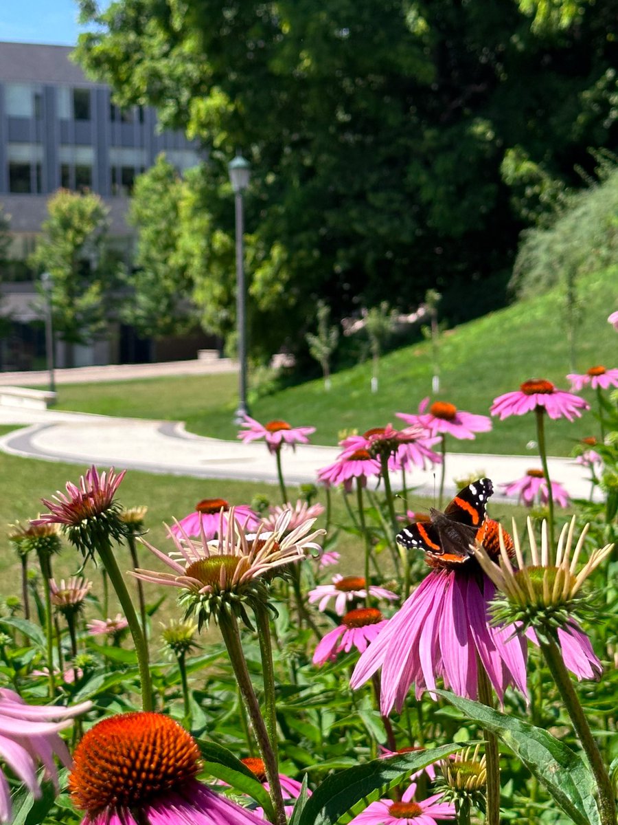 westernulibs's tweet photo. Who’s excited for an extra day off? 🙋‍♂️🙋‍♀️🙋

We hope everyone has a great long weekend 😁. 

All libraries will be closed from Saturday, August 3rd to Monday, August 5th!

#westernu #uwo #westernuniversity #westernulibs #westernlibraries https://t.co/2WboZBReGp