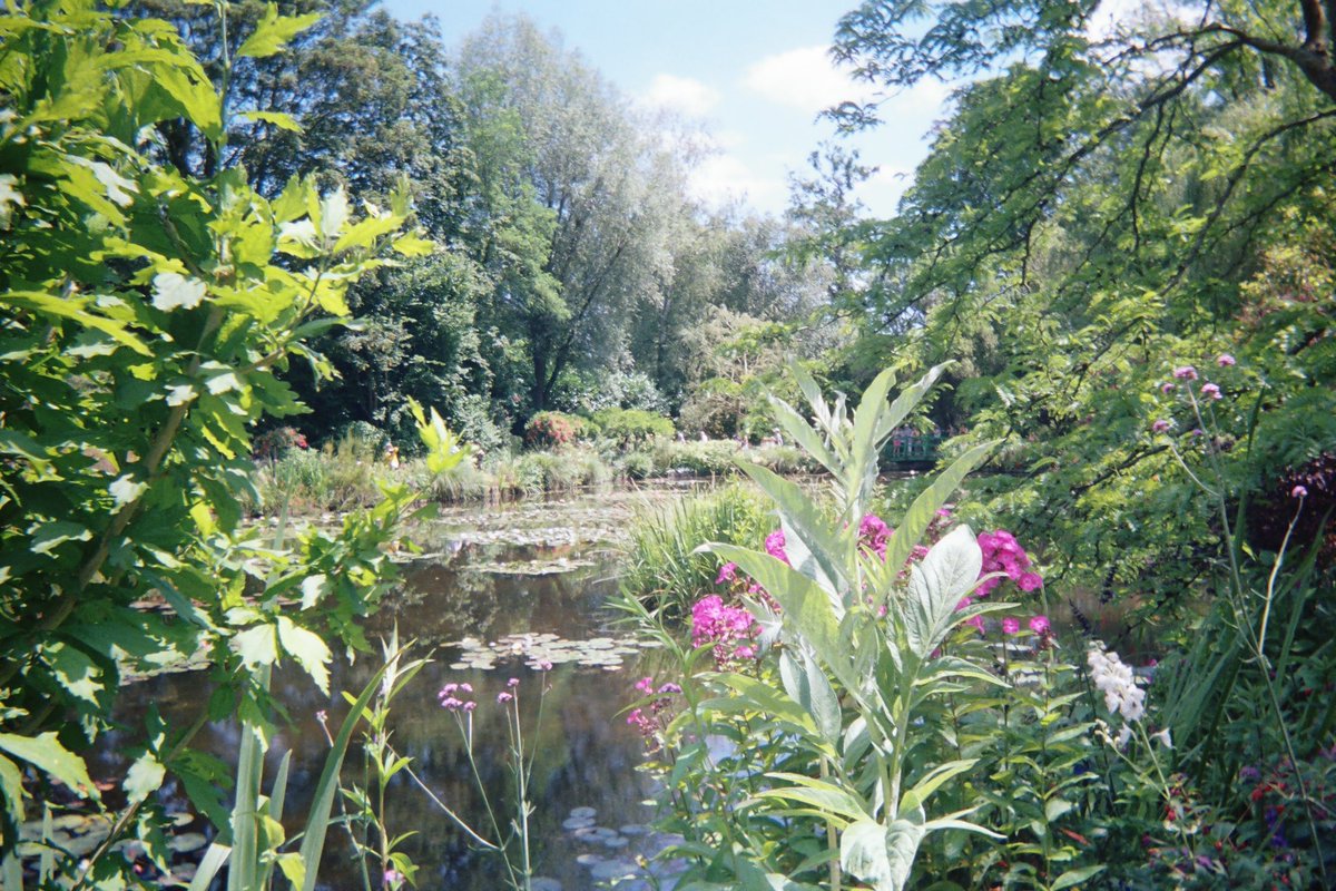 ˚༺♡ 𝔡 𝔞 𝔯 𝔠 𝔦 tweet media