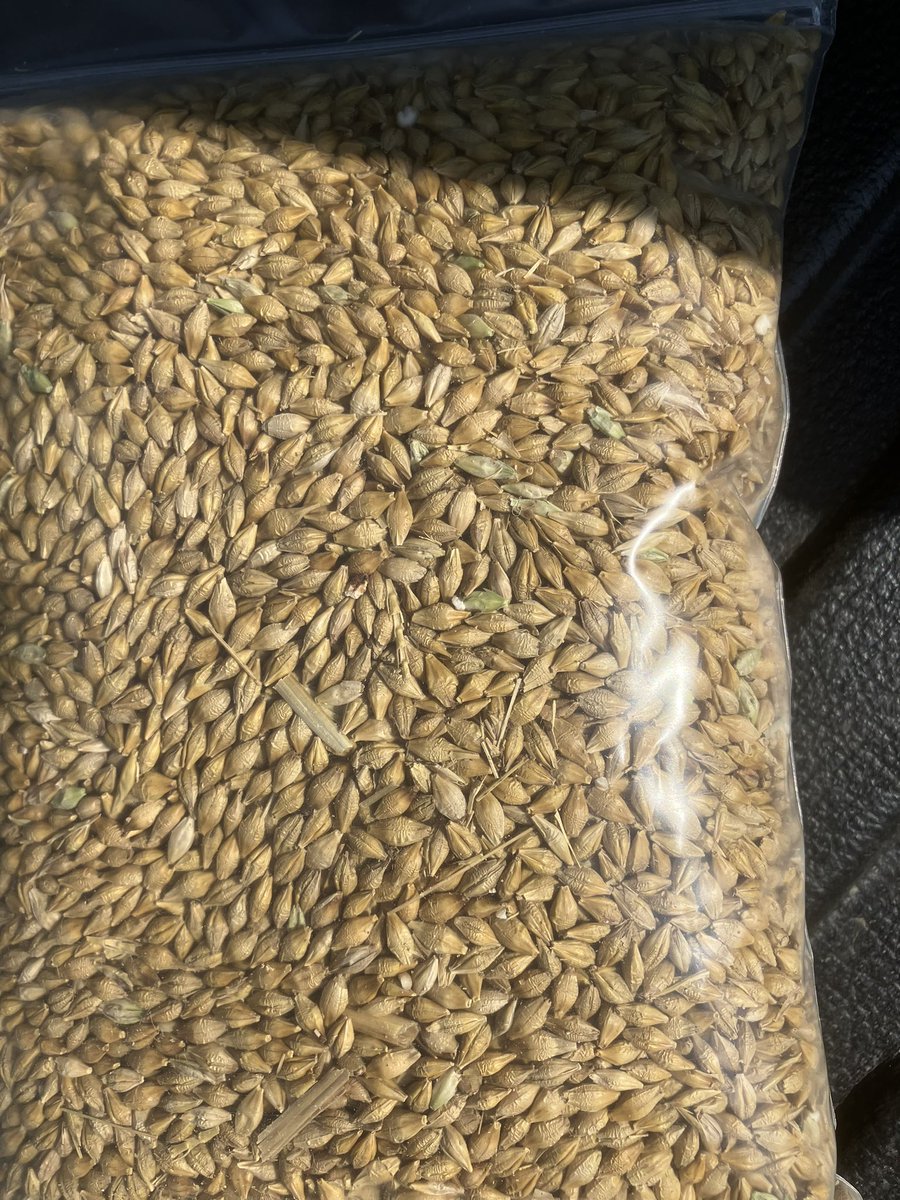 MartinHarwood11's tweet image. First sample of this year’s Skyway spring barley from Cambridgeshire, lovely sample, a few ‘greens’ but in this heat they should sweat out! doing 8.5t per Ha according to combine. @AgriiUK #springbarley #Cambridgeshire