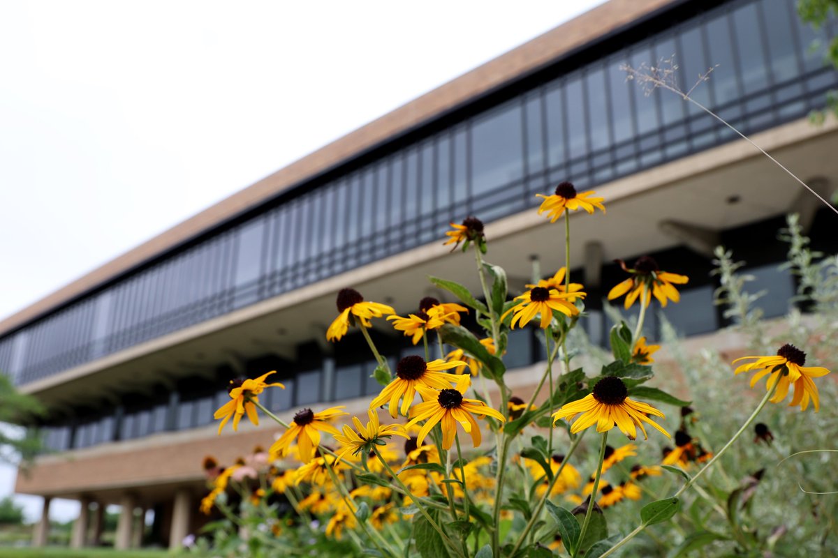 A summer Friday at #UISedu! ☀️
