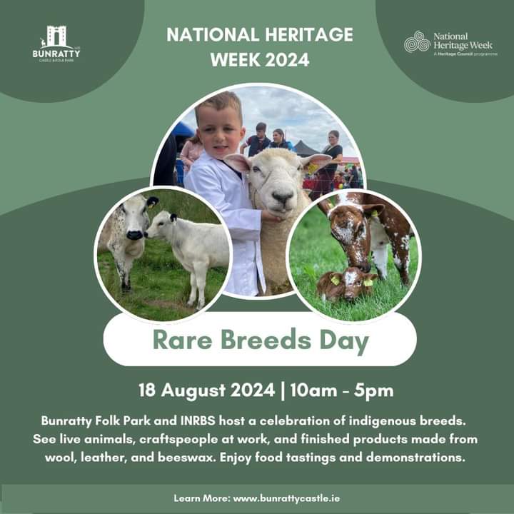 Droimeann Cattle Society (@droimeann) on Twitter photo Looking forward to this event. All our native breeds under the one roof. <a href="/rare_irish/">Irish Native Rare Breed Society</a> <a href="/heritage_irish/">Irish Heritage News</a> <a href="/thatsfarming/">thatsfarming.com</a> <a href="/HeritageWeek/">National Heritage Week</a> <a href="/BunrattyCastle/">Bunratty Castle & Folk Park</a> come join us. Looking forward to this event. All our native breeds under the one roof. <a href="/rare_irish/">Irish Native Rare Breed Society</a> <a href="/heritage_irish/">Irish Heritage News</a> <a href="/thatsfarming/">thatsfarming.com</a> <a href="/HeritageWeek/">National Heritage Week</a> <a href="/BunrattyCastle/">Bunratty Castle & Folk Park</a> come join us.