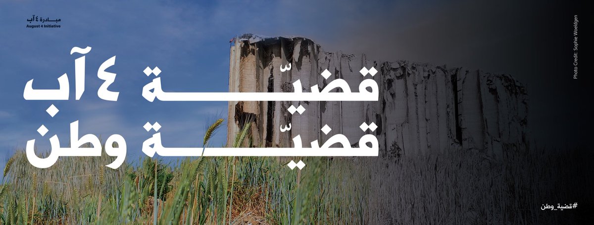 Aug4Initiative's tweet photo. من أعماق الأرض، حيث دُفنت الحقيقة، نبتت سنابل القمح. في كلّ سنبلة، شهادة. في كلّ حبّة، رجاء جديد. #قضية_وطن https://t.co/VclxsECmNk