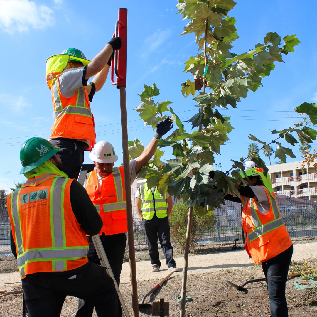 LA ConservationCorps tweet media