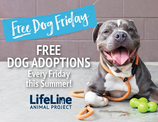 FultonCountyGeorgia (@fultoninfo) on Twitter photo You can adopt a dog for free every Friday through August 30! All adoptions include spay or neuter surgery, vaccines, and microchip!
To view animals available for adoption or fostering, please visit LifeLineAnimal.org <a href="/lifelineanimal/">LifeLine Animal Project</a> You can adopt a dog for free every Friday through August 30! All adoptions include spay or neuter surgery, vaccines, and microchip!
To view animals available for adoption or fostering, please visit LifeLineAnimal.org <a href="/lifelineanimal/">LifeLine Animal Project</a>