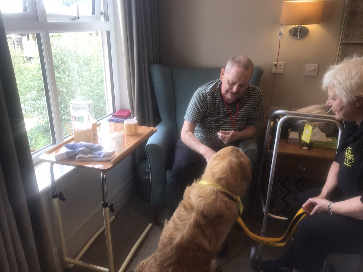 The Manor House, Knaresborough (@manorhouseknare) on Twitter photo Hot dawg! 🌭🌭🌭
Despite the weather Bailey and Patsy still made their visit to us at The Manor House. Supplied with plenty of refreshing apple slices, carrot and water to keep hydrated, Bailey visited everyone who wanted a cuddle and pat.
<a href="/TherapyDogsUK/">Therapy Dogs</a> Hot dawg! 🌭🌭🌭
Despite the weather Bailey and Patsy still made their visit to us at The Manor House. Supplied with plenty of refreshing apple slices, carrot and water to keep hydrated, Bailey visited everyone who wanted a cuddle and pat.
<a href="/TherapyDogsUK/">Therapy Dogs</a>