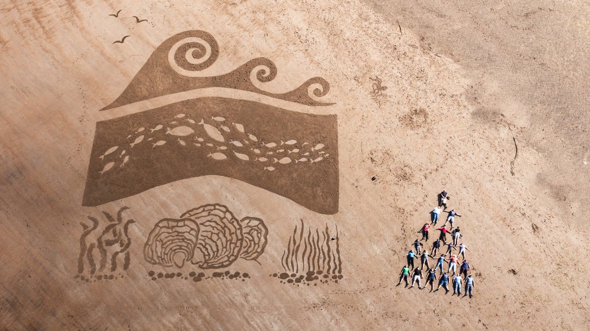 🌊✨ The Wild Oysters Project: Tyne and Wear had a fantastic time at Stronger Shores Marine Day at Hauxley Nature Reserve! 🌿
Huge thanks to <a href="/soul2sand1/">soul2sand</a> for the stunning 80x100ft beach artwork showcasing our efforts. 🏖️🎨
Thanks to everyone who supported us! 🥳🌍