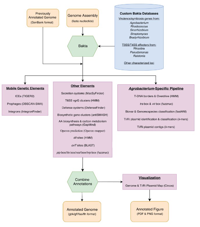 A new software pipeline, Beav, combines new &amp; existing tools for the comprehensive annotation of bacterial genomes &amp; mobile genetic elements; it also generates publication-quality genome &amp; plasmid maps. Learn about the easy-to-run platform in <a href="/mSphereJ/">mSphere</a>: asm.social/1ZT