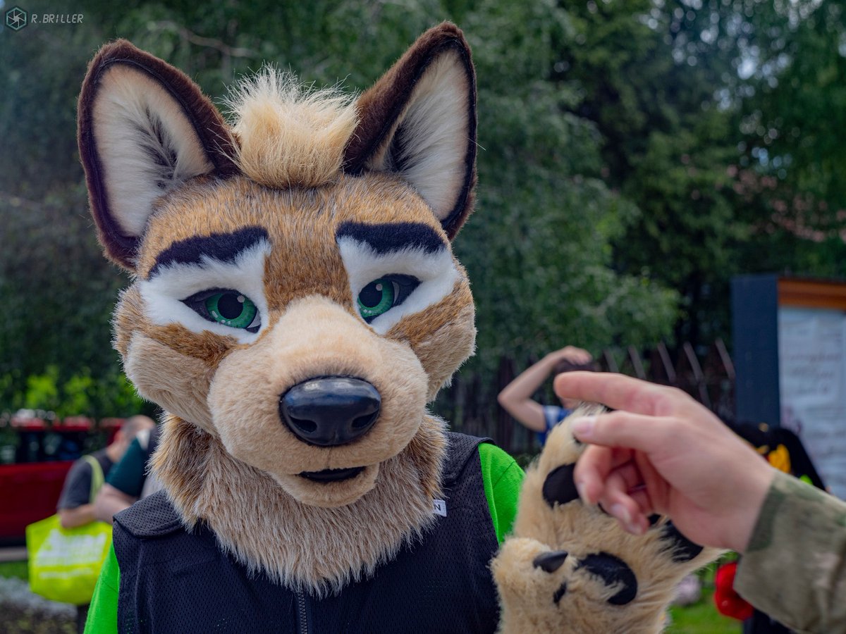 HoneyWolf tweet media