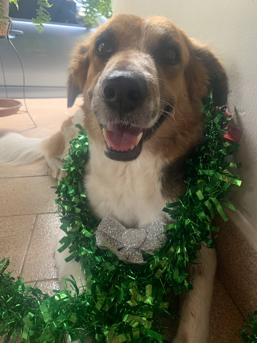 Nena ya está en el cielo comiendo chipa 🤍