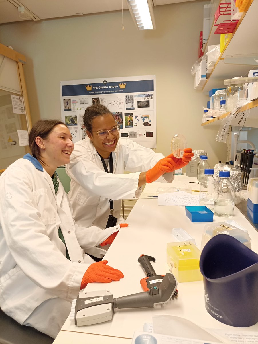 Today was the last day of Estelle in the lab, following her 3 month internship working with Marie 🧪