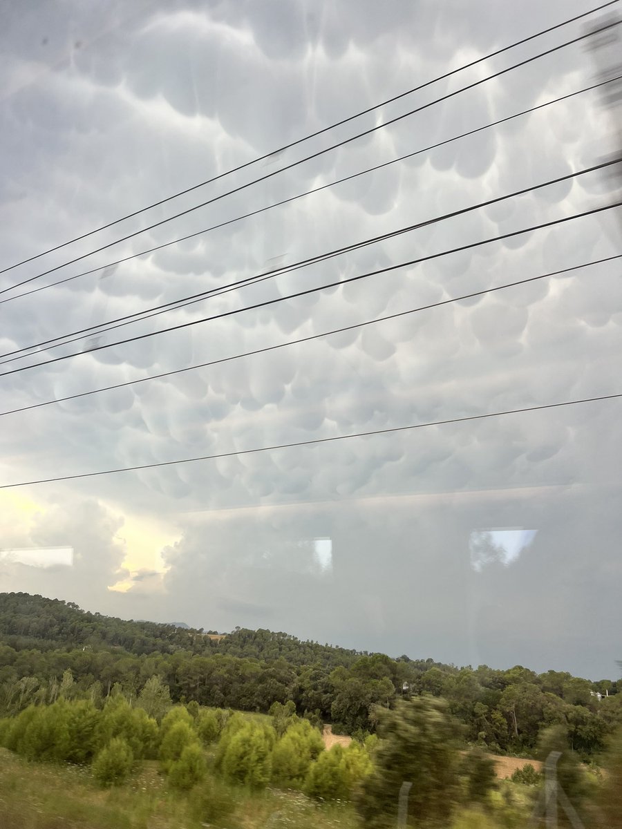 Se atormenta una vecina @eltempsTV3 al AVE a l’altura de Girona