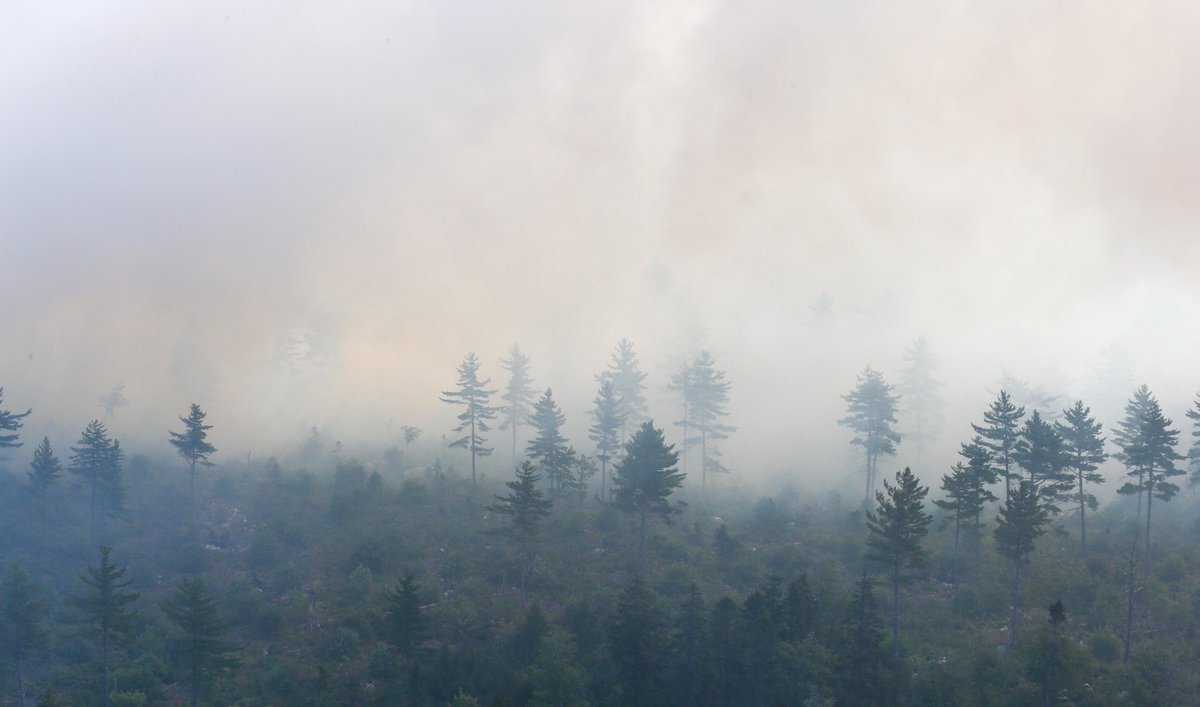 Nova Scotia Sending Firefighters to Jasper, Alberta news.novascotia.ca/en/2024/08/02/…