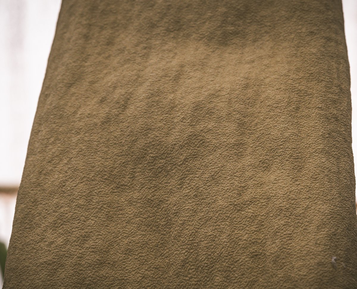 A lot of my glorious admirers in the last two days have been asking what my spadix feels like! 😱 😱

I allowed one of my minions to get up close and personal to give you an idea of my beautifully rubbery-bumply texture.  Isn't it glorious?  

No touching though!

#spathe #spadix