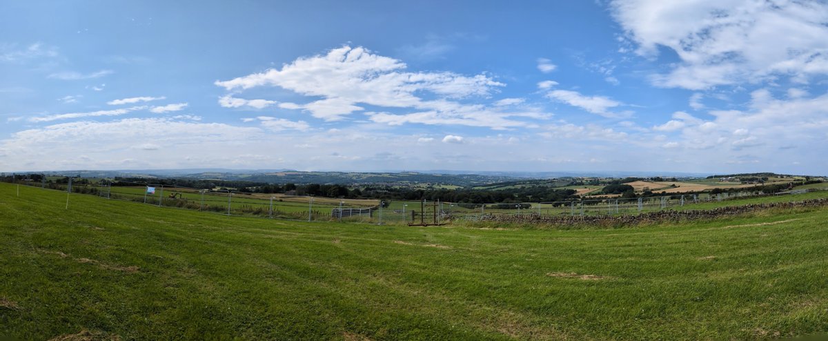 Longley Farm tweet media