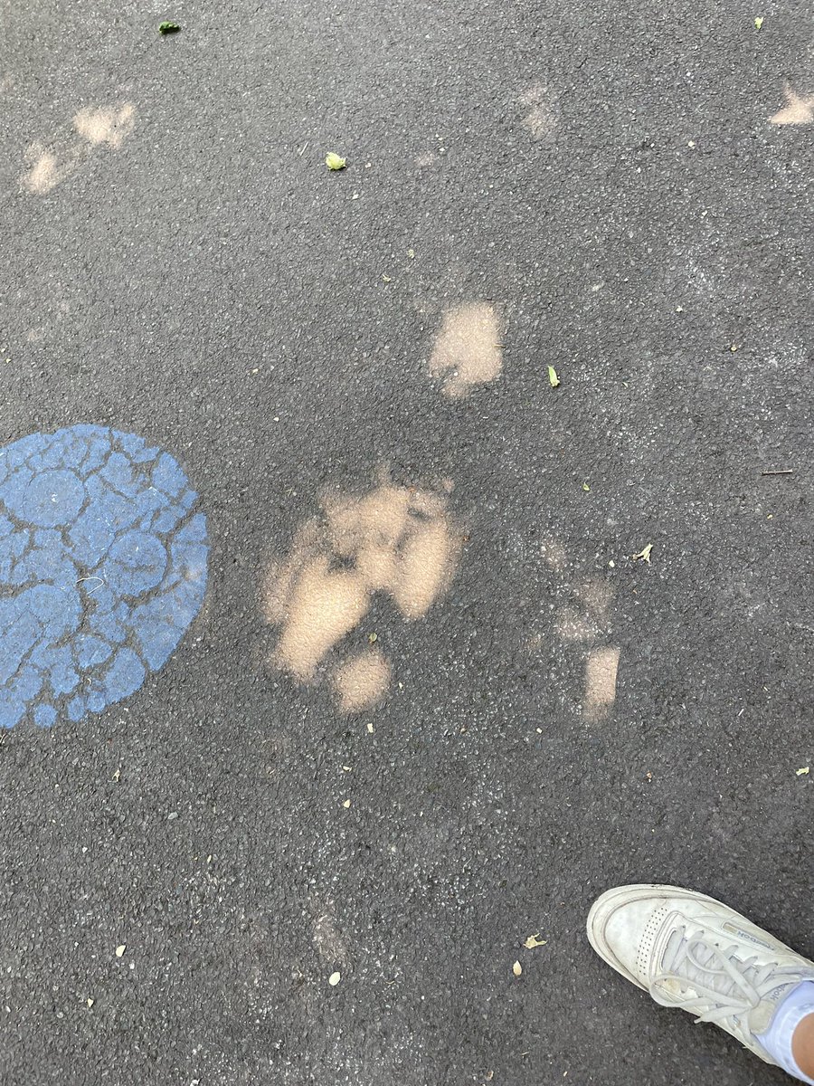 UTC Studio tweet media