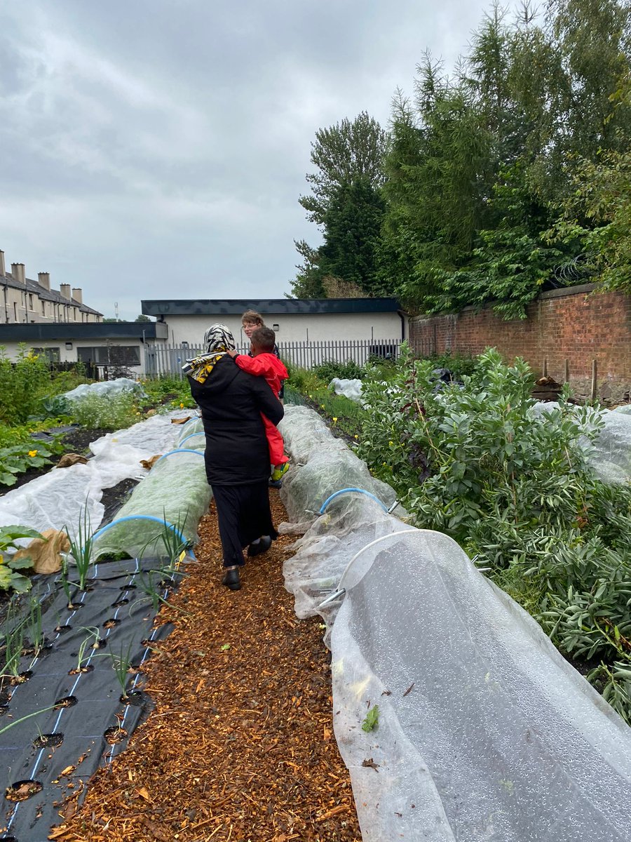 CourtneyPEEK tweet media